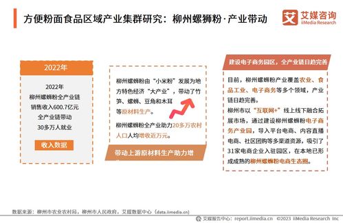 技術(shù)賦能與消費(fèi)驅(qū)動(dòng) 2024年中國(guó)方便粉面食品行業(yè)洞察與趨勢(shì)展望——基于中國(guó)食品科學(xué)技術(shù)學(xué)會(huì)與艾媒咨詢(xún)研究報(bào)告的交流探討